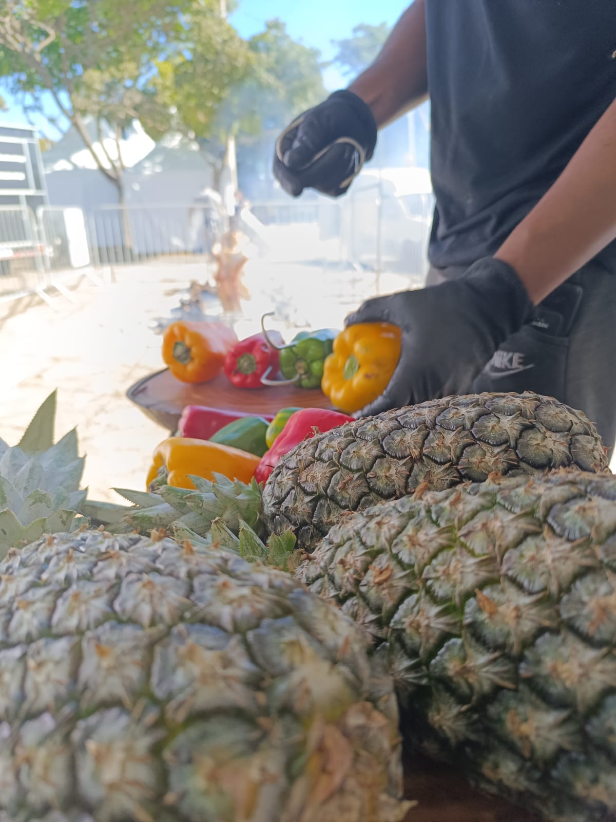 Churrasco Fogo de Chão para eventos