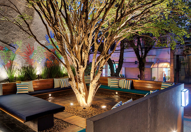 Cauli Bar - Entrada - Jabuticabeira (5).jpg