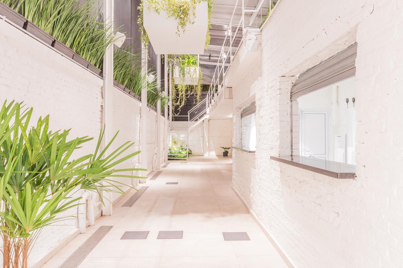 Espaço Branco - Fundos - Piso Térreo